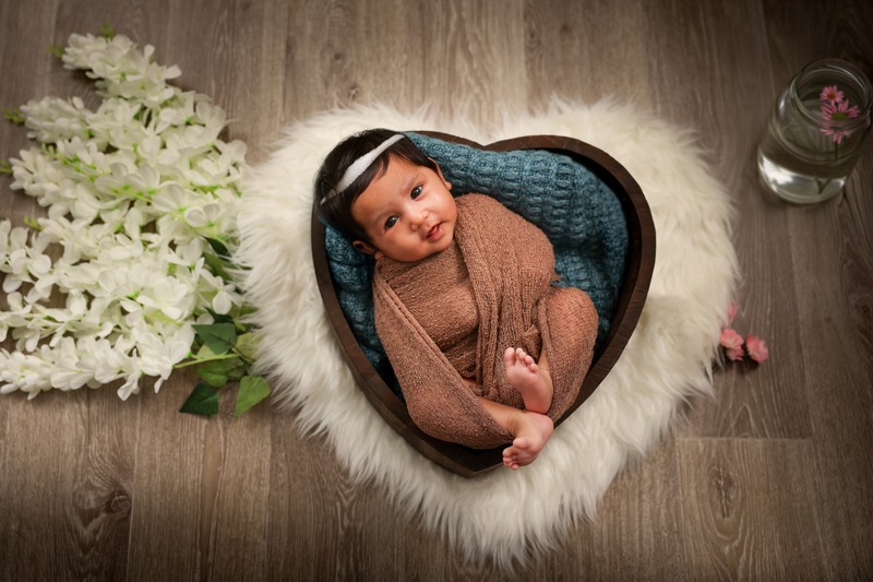 Portfolio Image 5